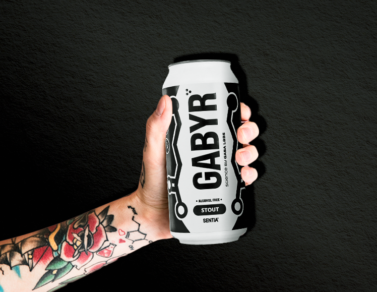 GABYR Stout 440ml (6 Pack)