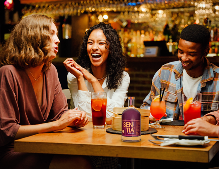 SENTIA GABA Red 50cl & Black 50cl