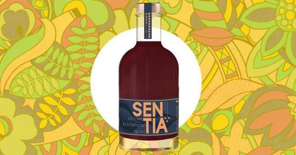 Metro's Review of New Alcohol-Free Alternative Drink Sentia