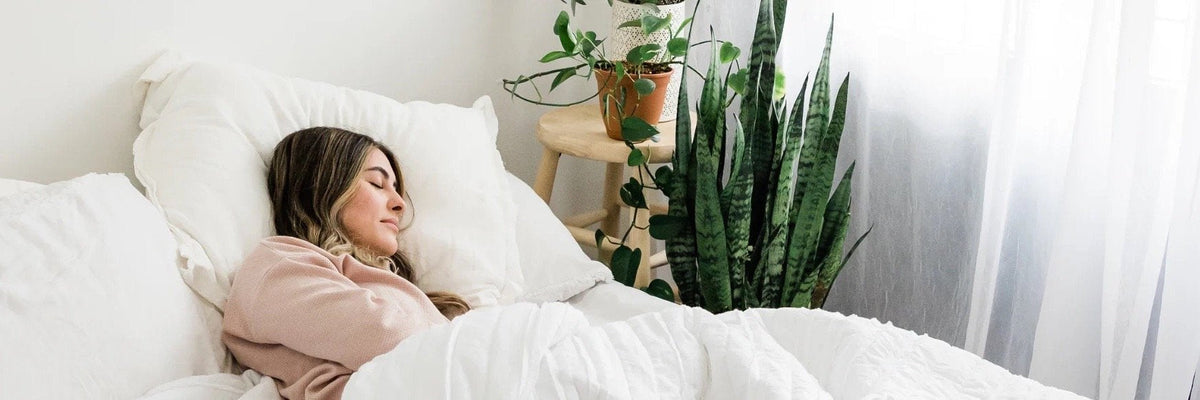 Sentia Spirits: THE GABA CONNECTION: ALCOHOL, SLEEP & THE SCIENCE OF RESTORATIVE REST