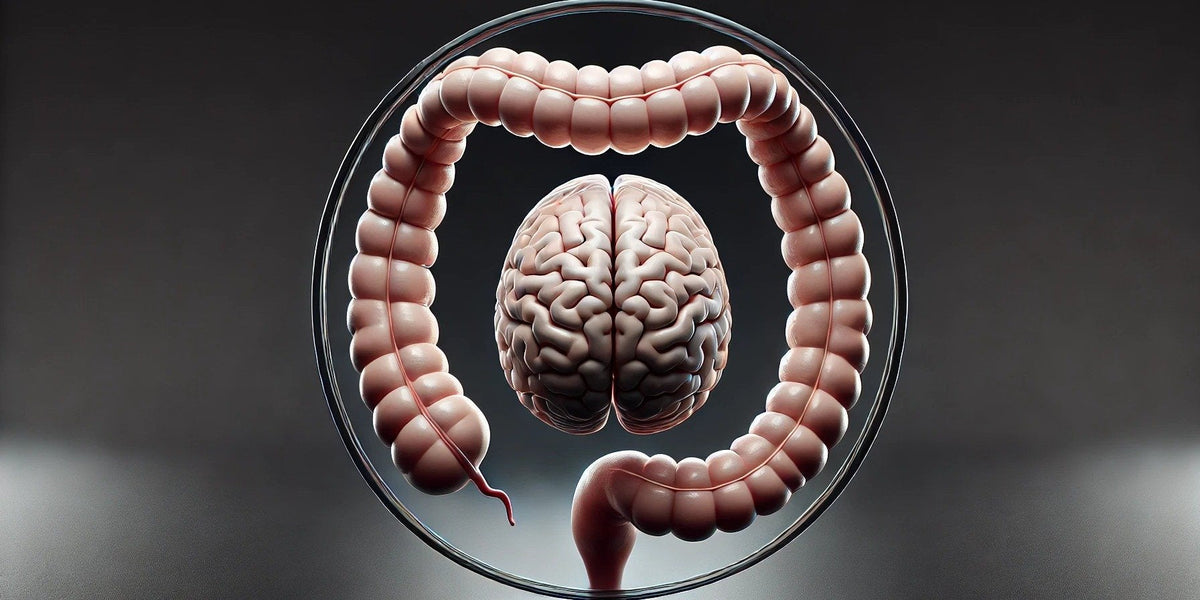 Explore how GABA is revolutionizing the world of alcohol alternatives and digestive health.