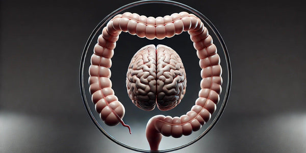 Explore how GABA is revolutionizing the world of alcohol alternatives and digestive health.