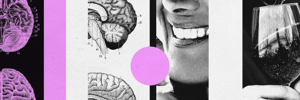 Professor Nutt interviewed on GABA, Alcohol Alternatives, and Mental Health