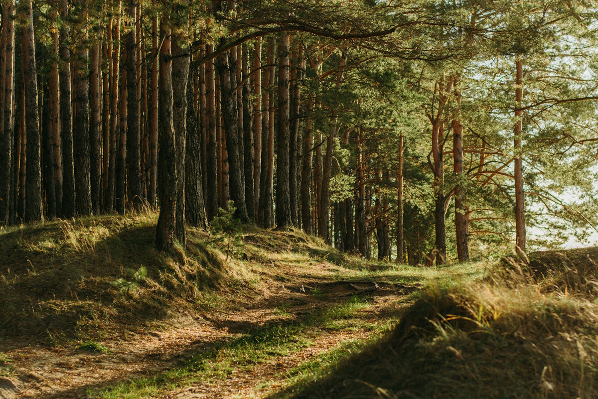 connecting with nature