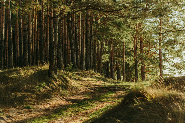 connecting with nature