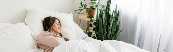 The Science of Sleep