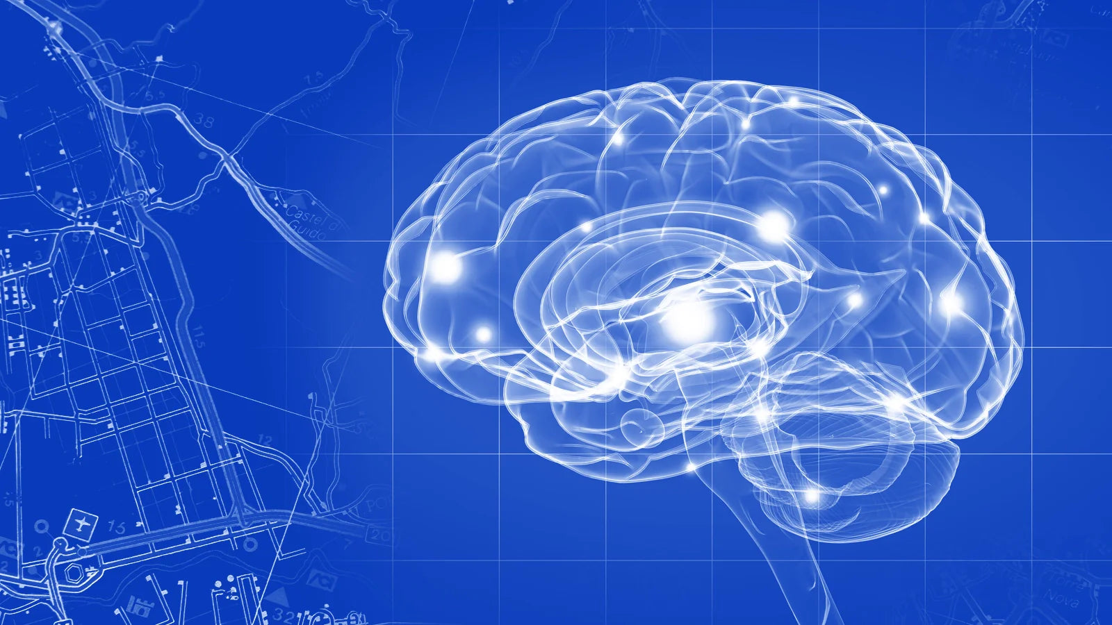 What Is the GABA Pathway? 7 Things You Need to Know
