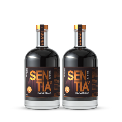 GABA Black 2x 50cl (500ml)