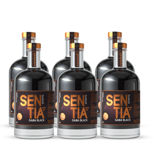 GABA Black 6x 50cl (500ml) Bundle