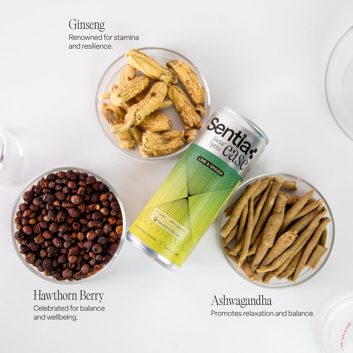 Sentia Ease Social Spritz Lime & Ginger, 6X250ml Cans