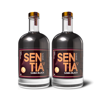 GABA Black 50cl x 2