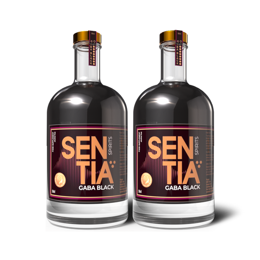 GABA Black 50cl x 2