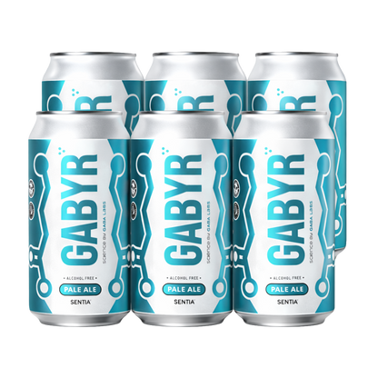 GABYR Pale Ale 440ml (6 Pack)