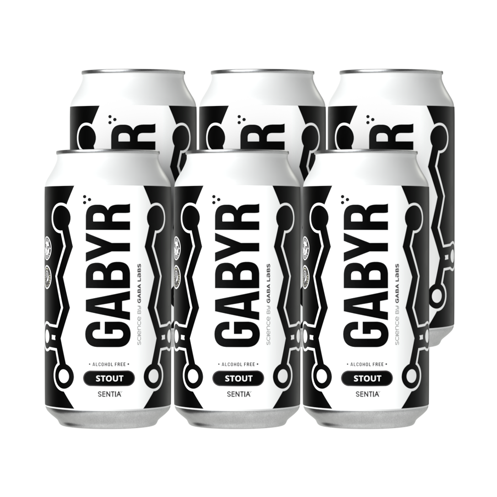 GABYR Stout 440ml (6 Pack)