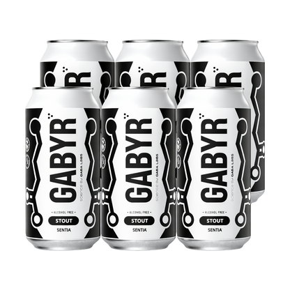 GABYR Stout 440ml (6 Pack)