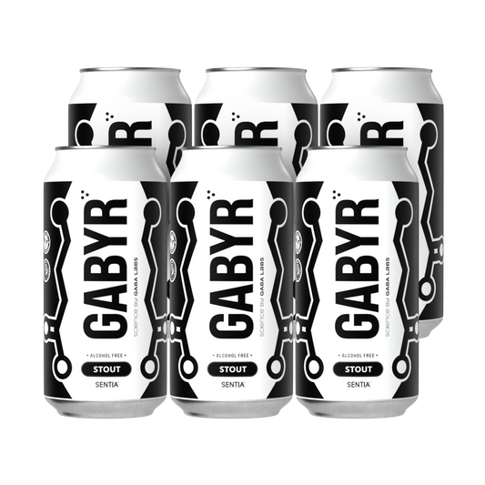 GABYR Stout 440ml (6 Pack)