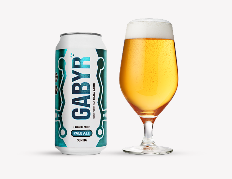 GABYR Pale Ale 440ml (6 Pack)