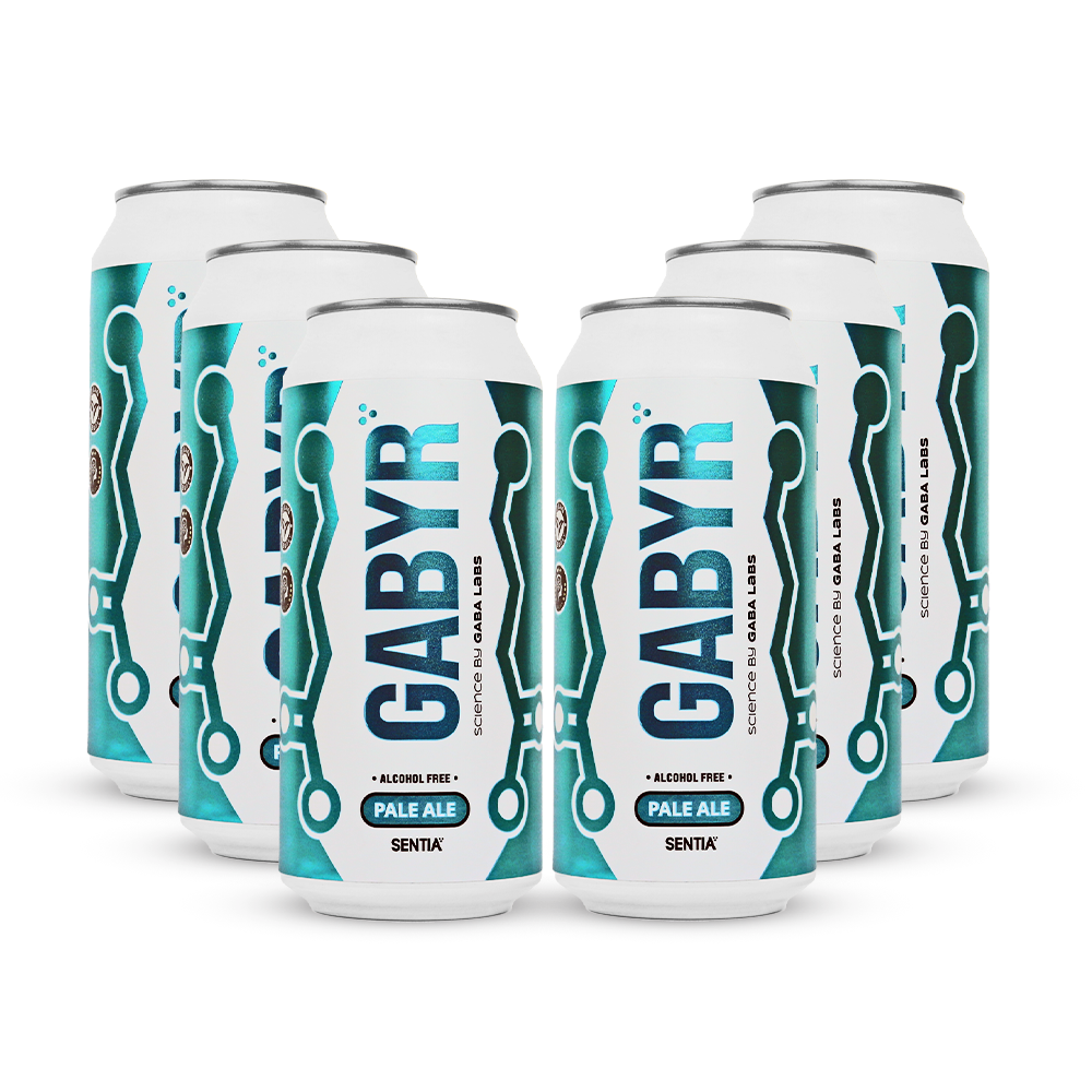 GABYR Pale Ale 440ml (6 Pack)