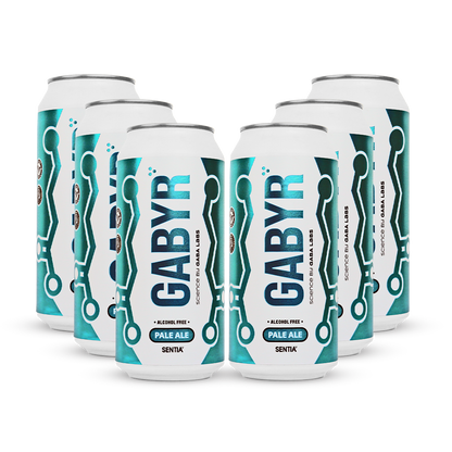 GABYR Pale Ale 440ml (6 Pack)