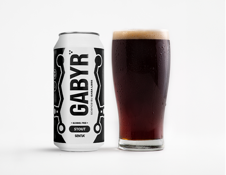 GABYR Stout 440ml (6 Pack)