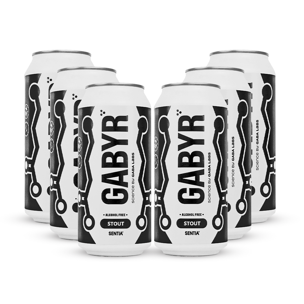GABYR Stout 440ml (6 Pack)