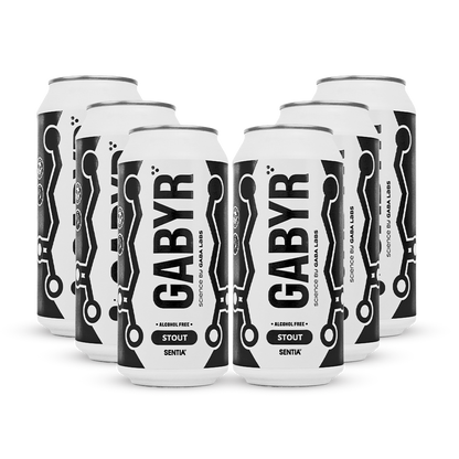 GABYR Stout 440ml (6 Pack)