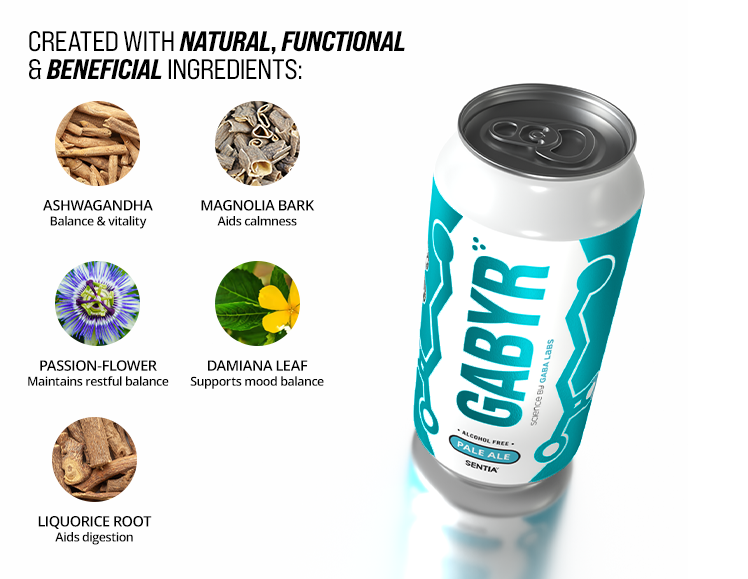 GABYR Pale Ale 440ml (6 Pack)