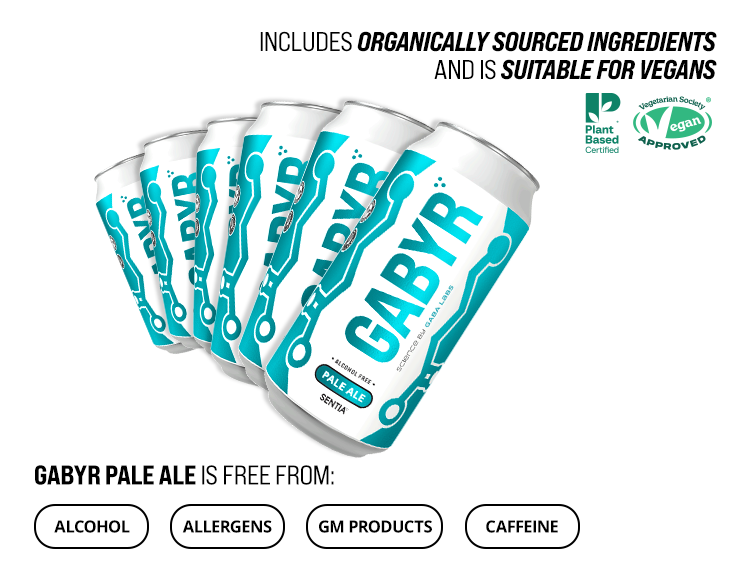 GABYR Pale Ale 440ml (6 Pack)