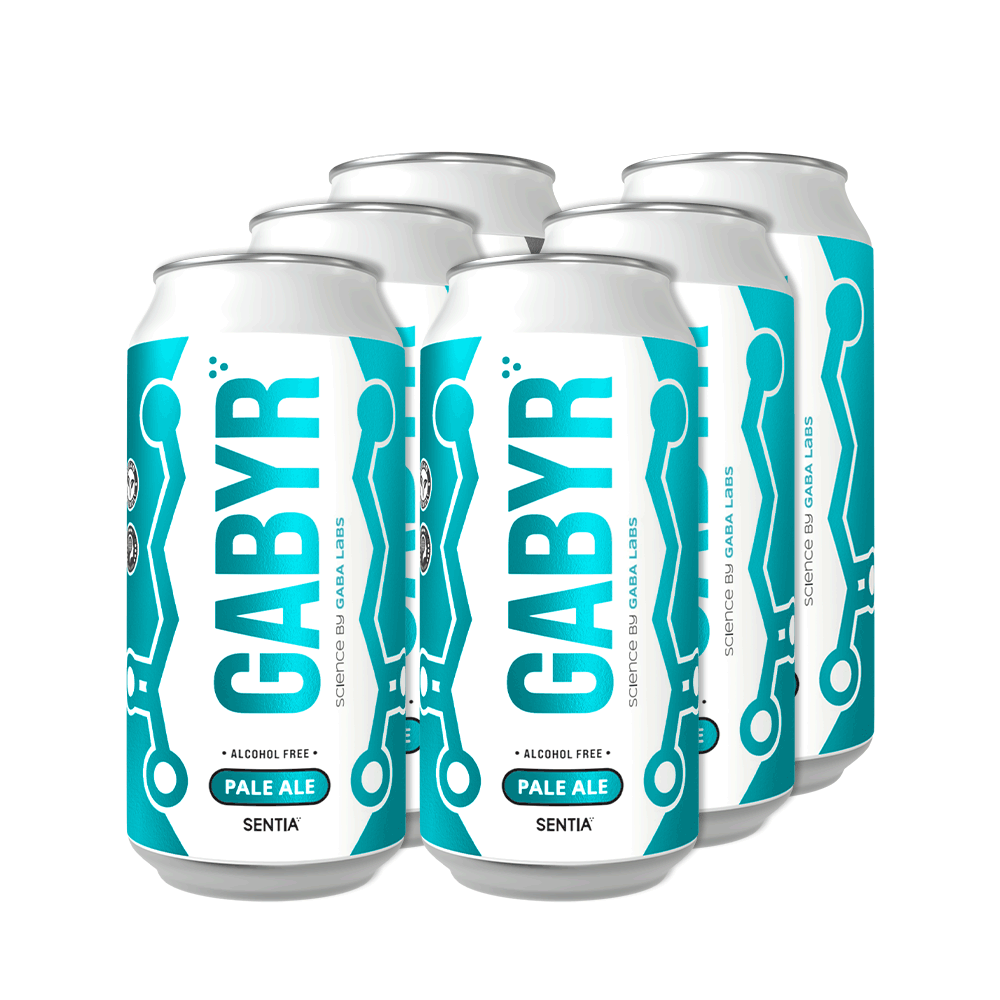 GABYR Pale Ale 440ml (6 Pack)