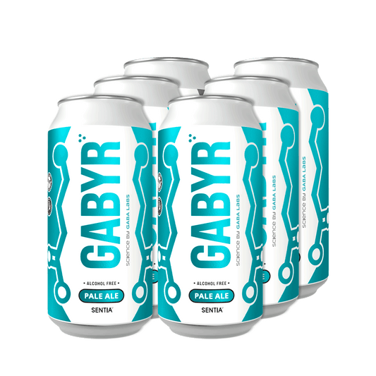 GABYR Pale Ale 440ml (6 Pack)