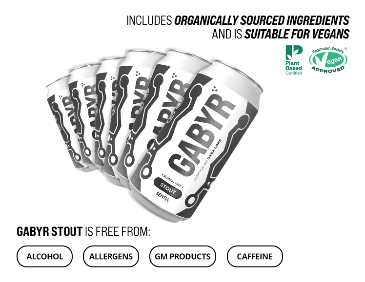 GABYR Stout 440ml (6 Pack)
