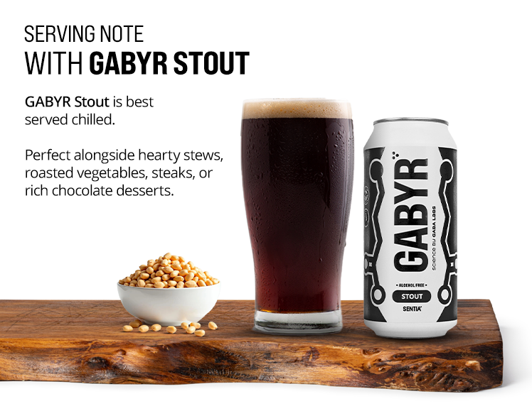 GABYR Stout 440ml (6 Pack)