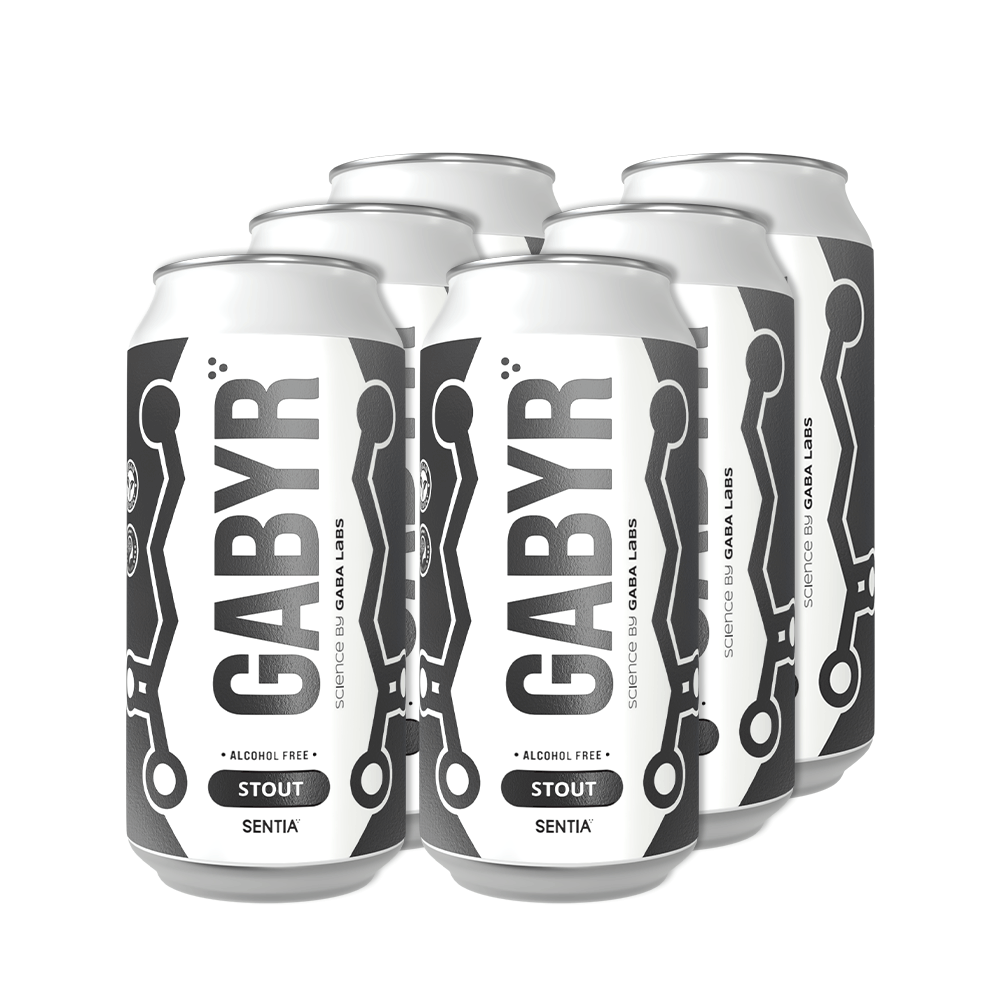 GABYR Stout 440ml (6 Pack)