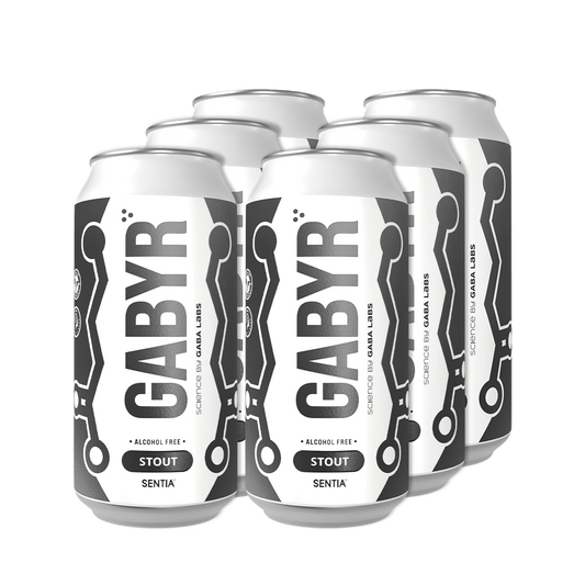 GABYR Stout 440ml (6 Pack)